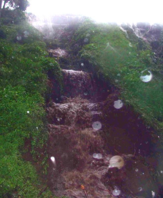 One of several cascades from 19th Avenue -- 9:10 AM
